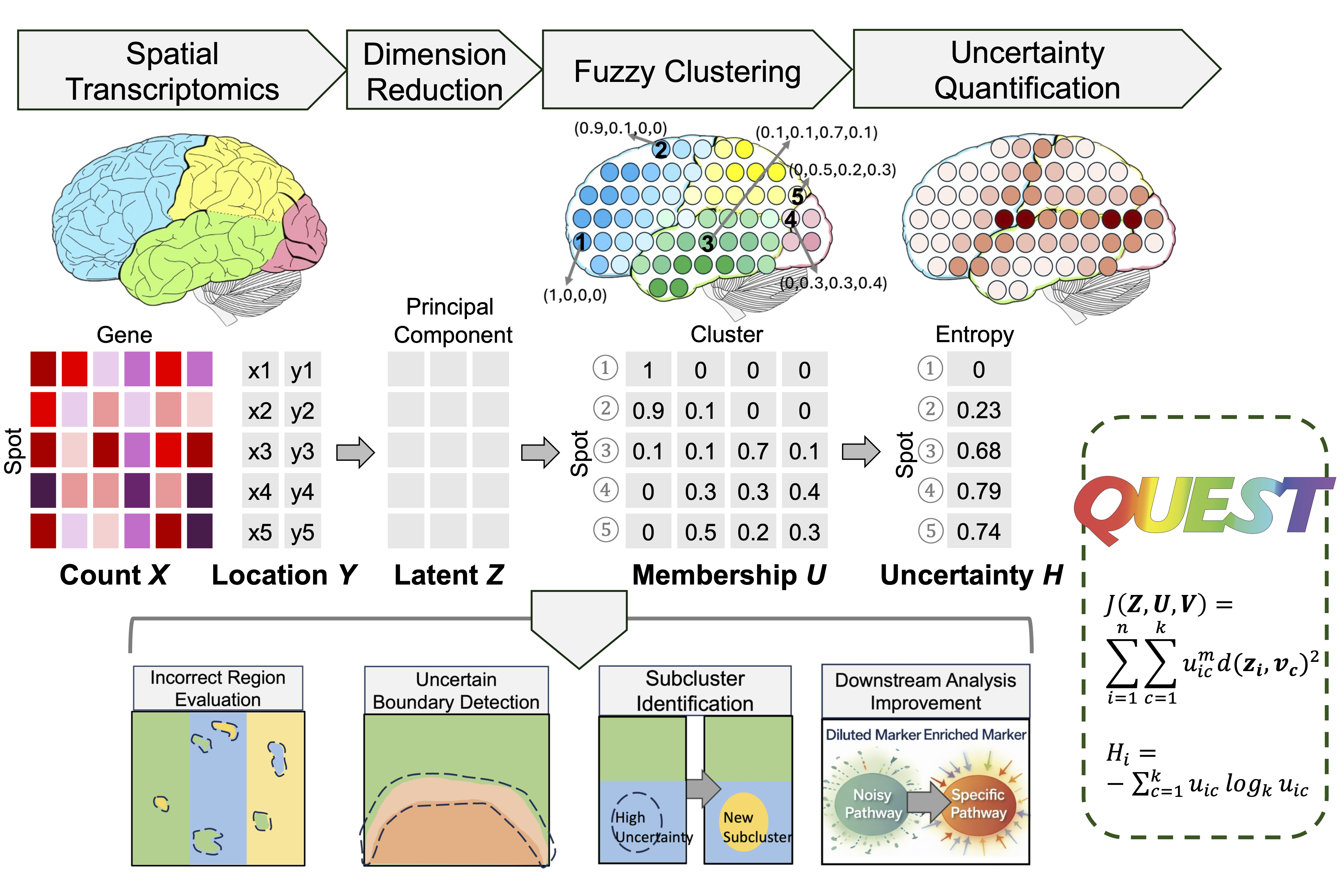 Overview of the QUEST workflow